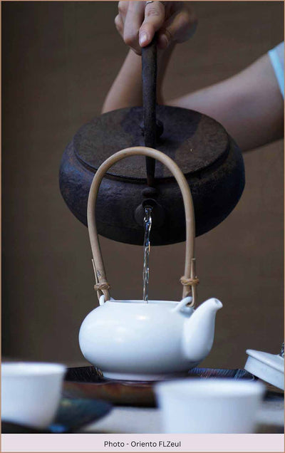 Teapots: The Perfect Blend of Functionality and Home Elegance