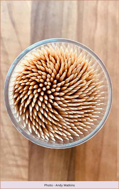 Unveil the Mystery: Discover the Hidden Charm of Enigmatic Toothpick Holders