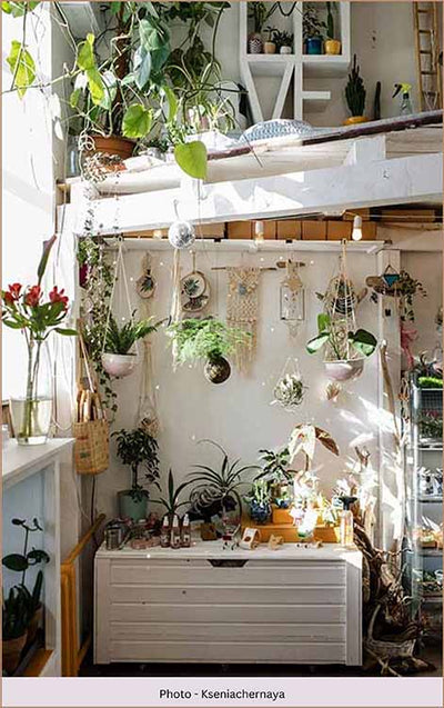 Macrame Plant Hanger Patterns: Trending Designs and Styles