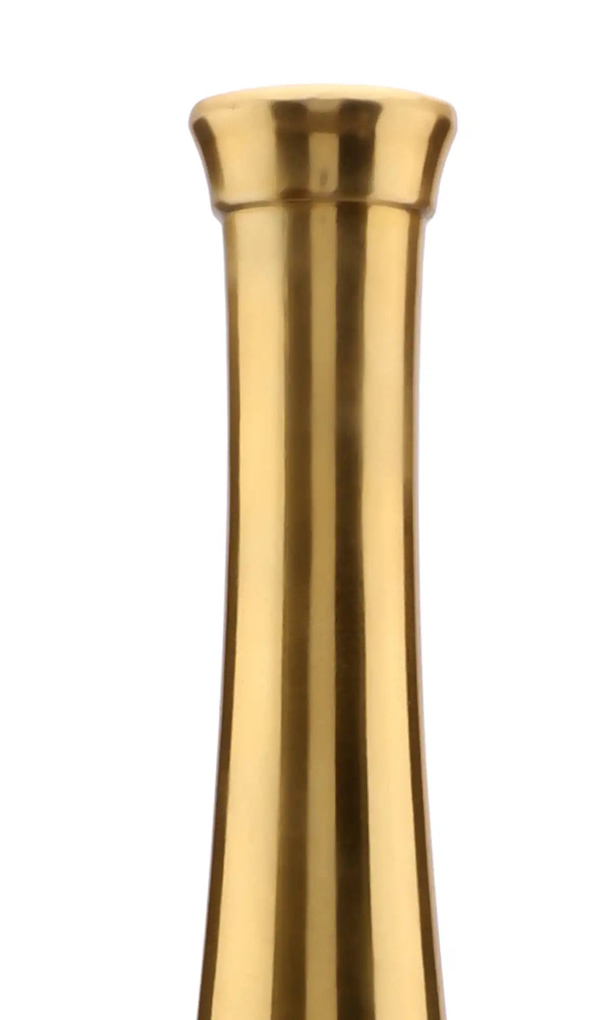 Scarlet Red Gold Champagne Bottle Vase Set 60-702-31-50-4