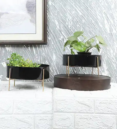 Round Black & Gold Table Planter with Stand Set of 2