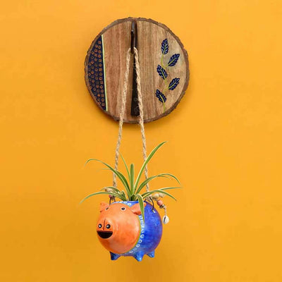 Blue Pig Earthen Planter on a Round Wall Hook - Decor & Living - 1