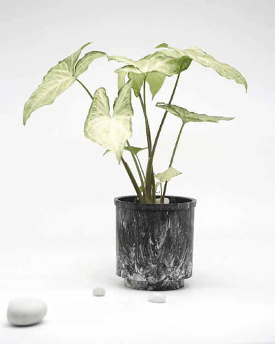 Eco-Planter I Black Luxe I Recycled