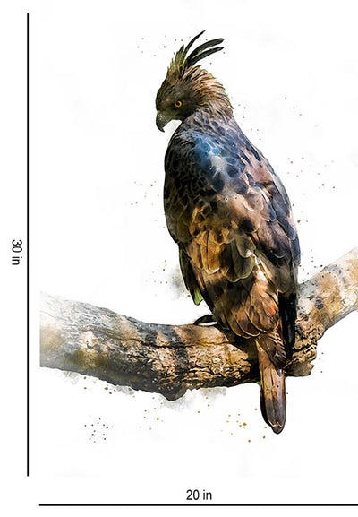 Changeable Hawk Eagle Bird - Wall Decor - 3