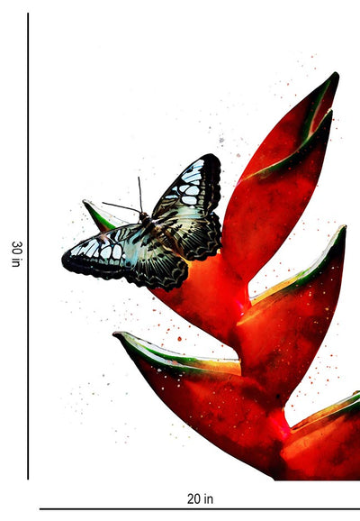 Clipper Butterfly - Wall Decor - 3