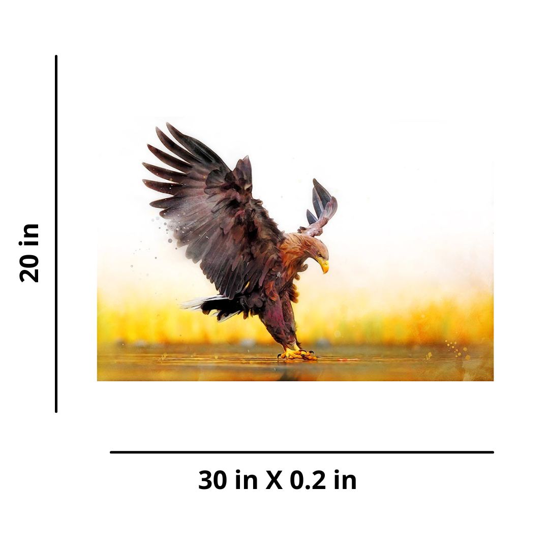White-Tailed Eagle - Wall Decor - 3