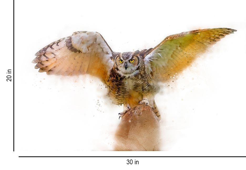 Landing Owl - Wall Decor - 3