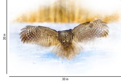 Great Grey Owl in Flight - Wall Decor - 3
