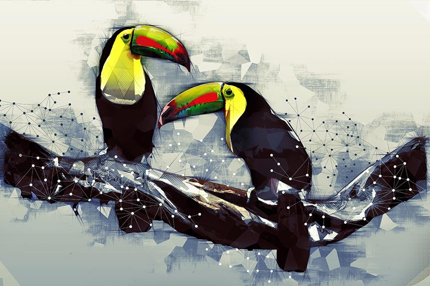 Toucan Sitting on the Branch - Wall Decor - 2