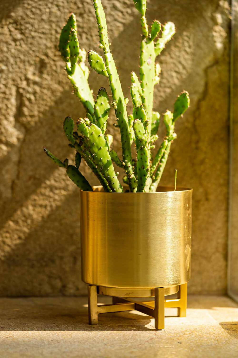 Planter Gold with Gold Stand - Decor & Living - 1