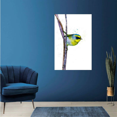Golden Bush Robin Bird - Wall Decor - 1